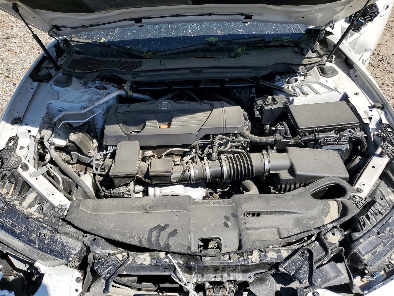 2021 Acura Tlx Technology White vin: 19UUB5F44MA007537