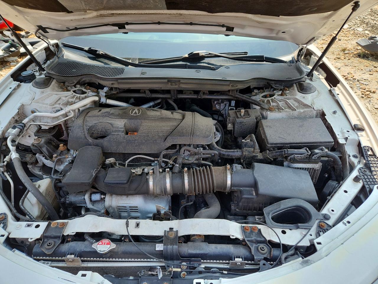 2021 Acura Tlx Technology White vin: 19UUB5F48MA001966