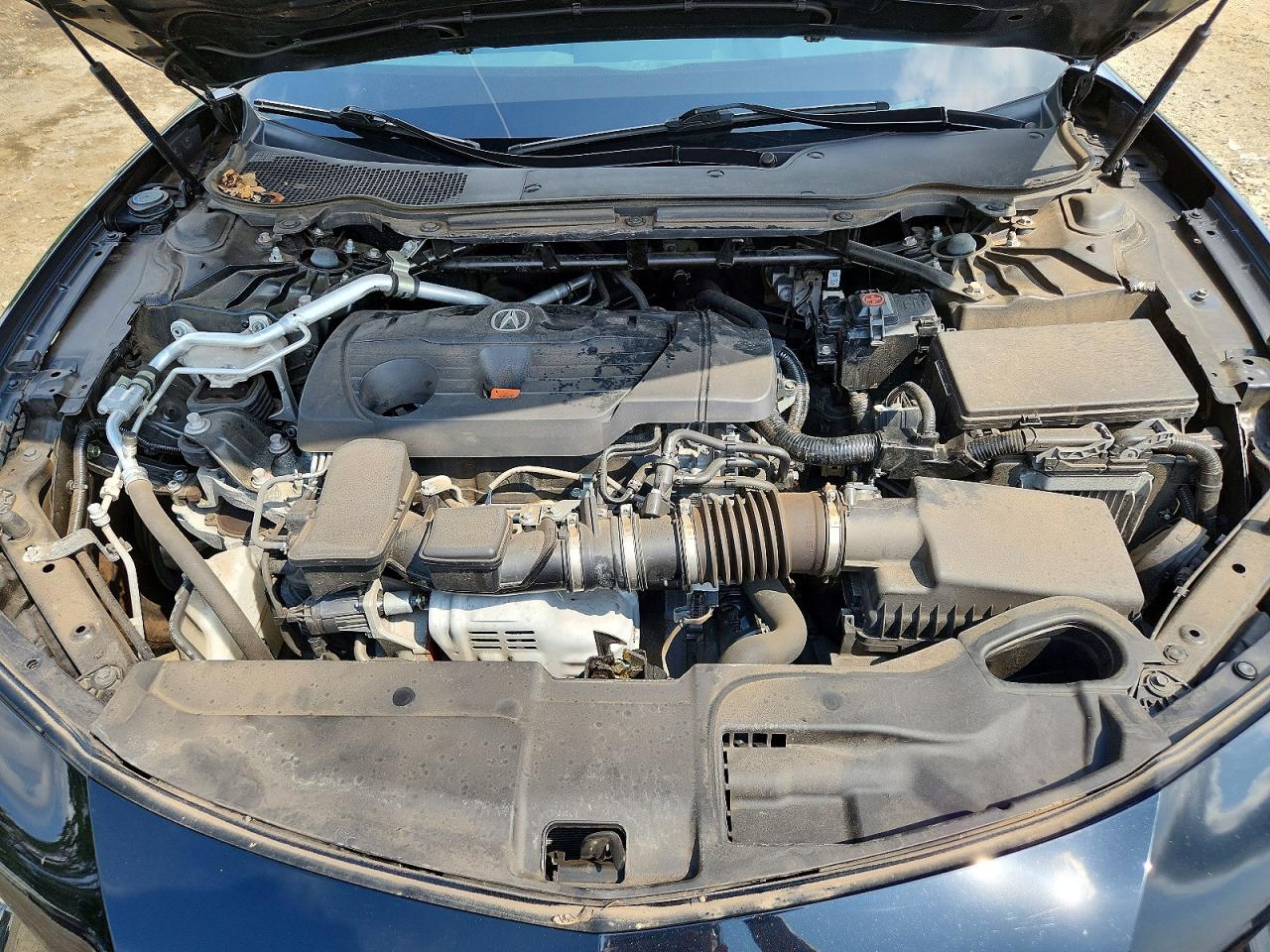 2021 Acura Tlx Black vin: 19UUB6F32MA010742