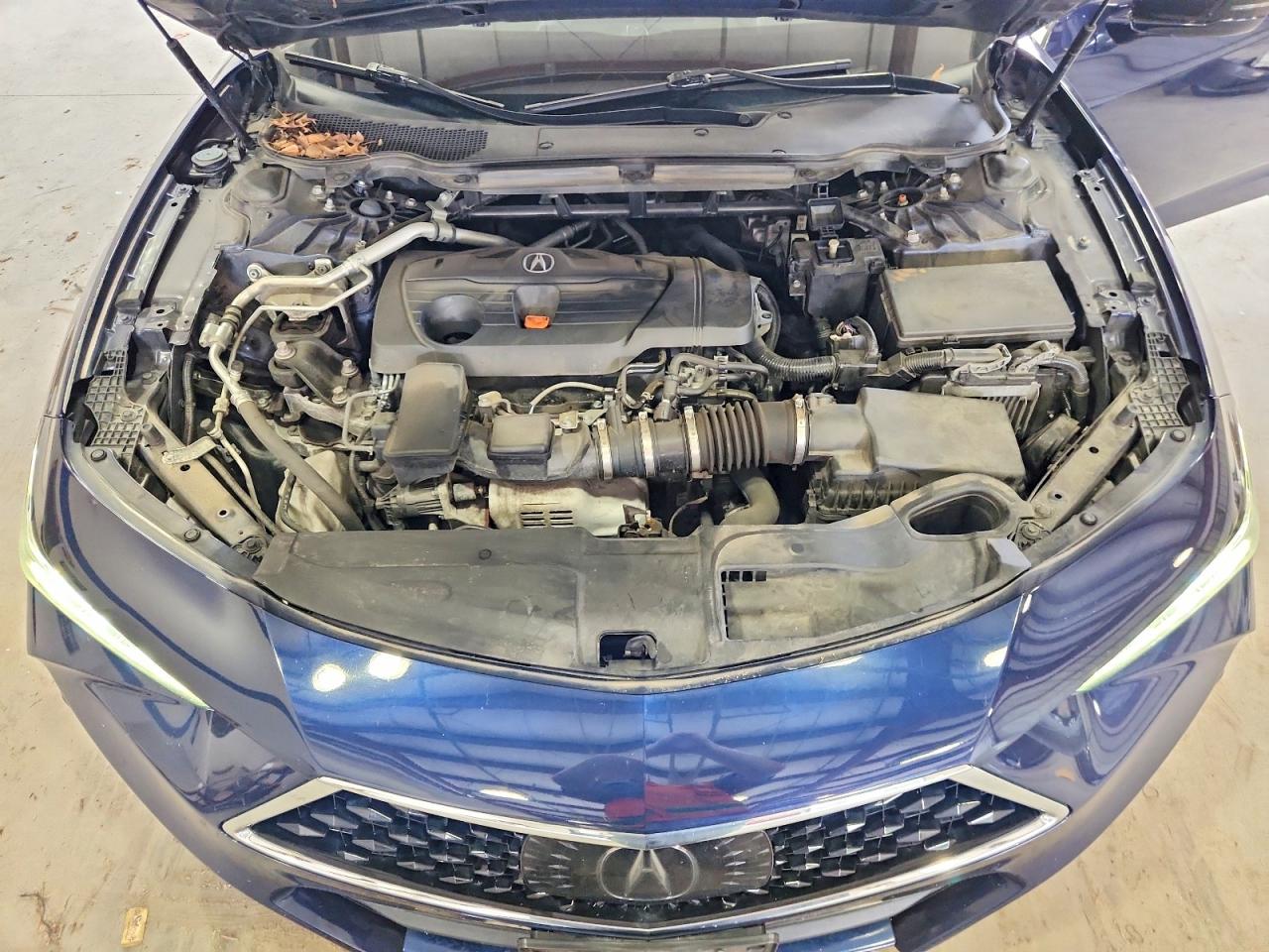 2021 Acura Tlx Blue vin: 19UUB6F35MA008287