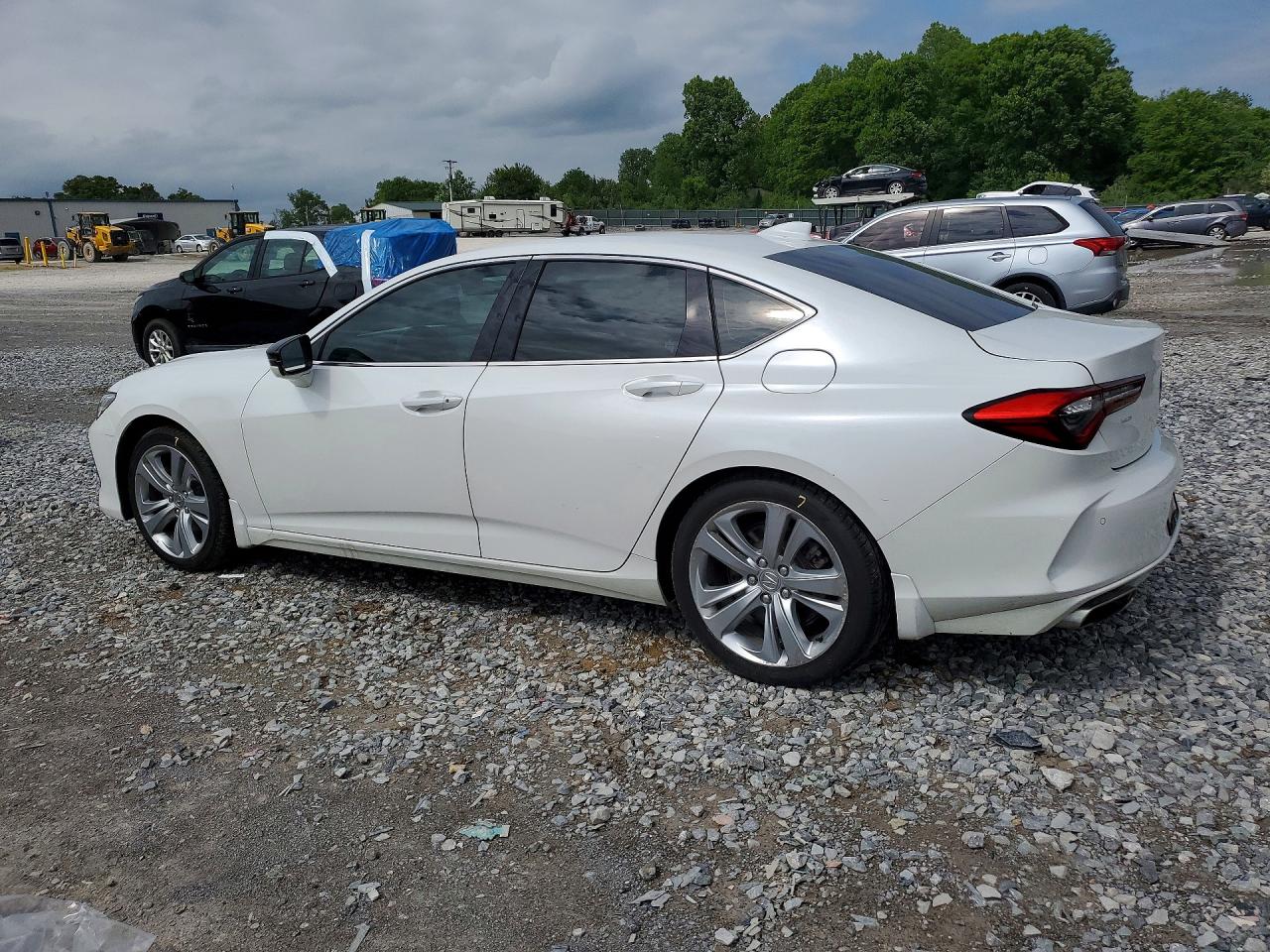 2021 Acura Tlx Technology White vin: 19UUB6F45MA002028