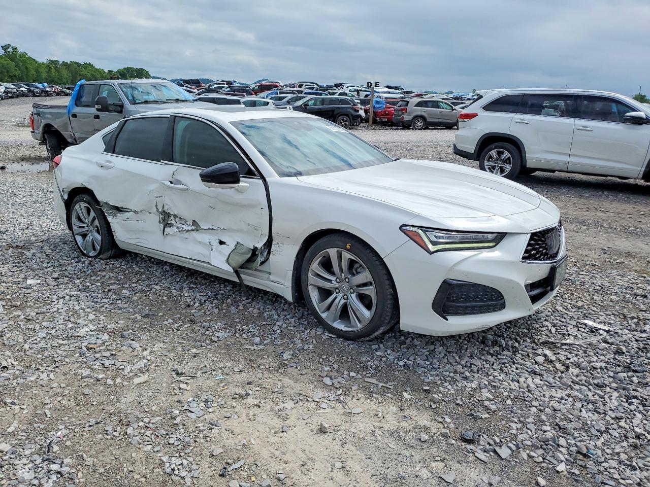 2021 Acura Tlx Technology White vin: 19UUB6F45MA002028