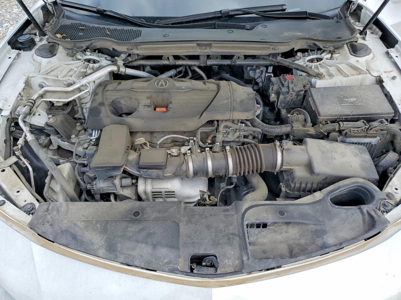 2021 Acura Tlx Technology White vin: 19UUB6F45MA002028