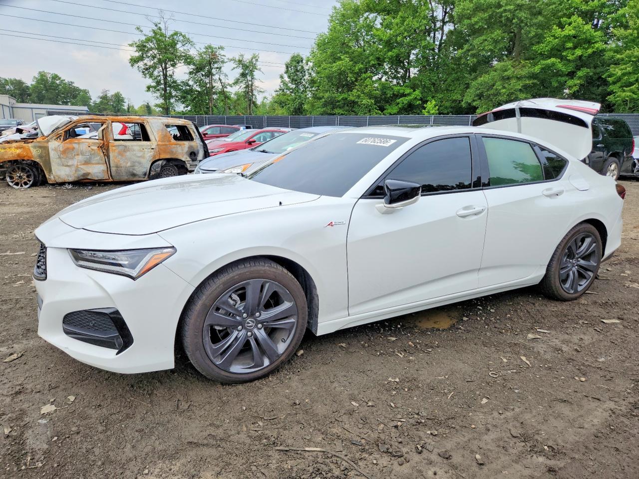 2023 Acura Tlx A-spec White vin: 19UUB6F51PA005831