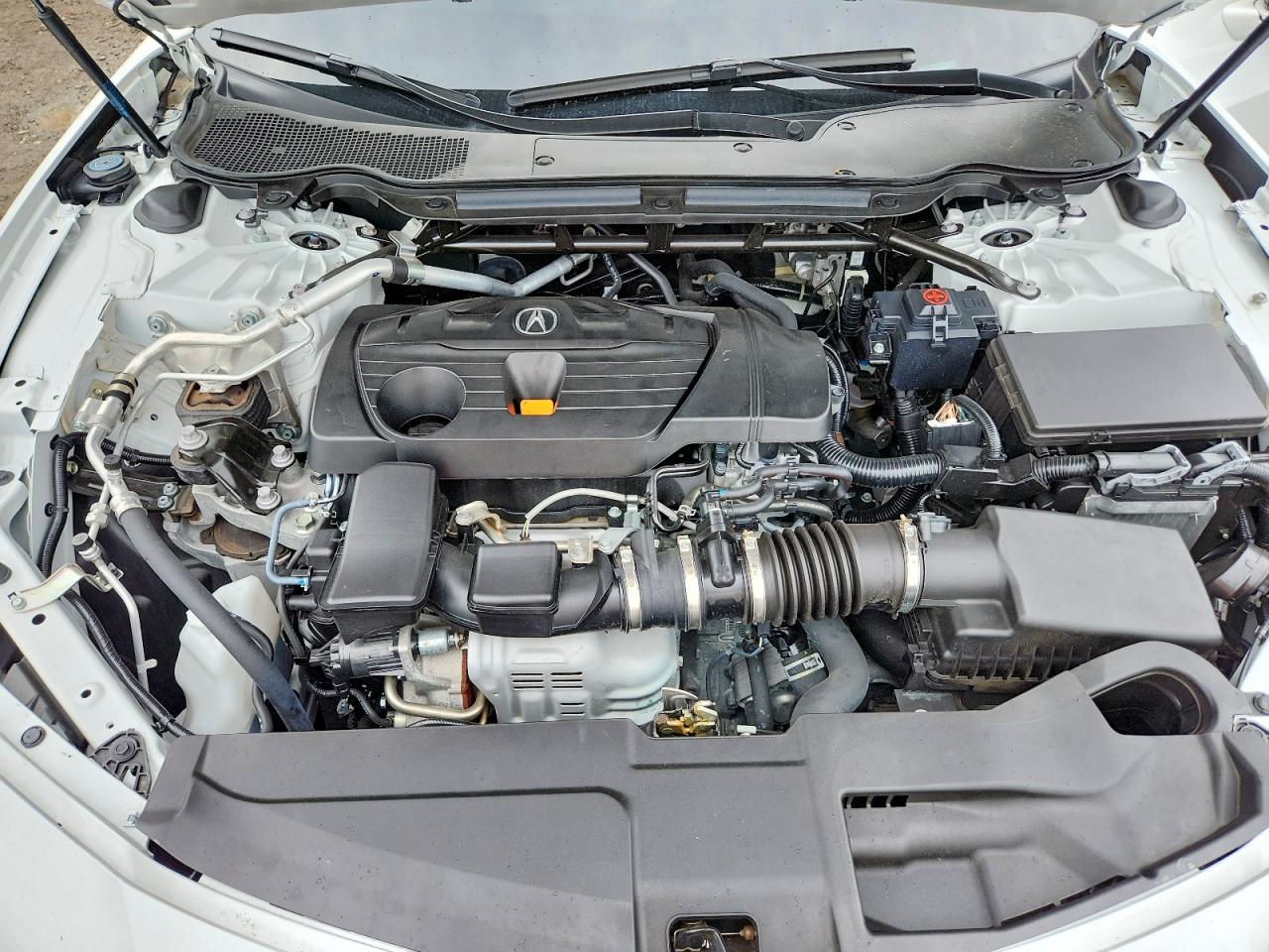 2023 Acura Tlx A-spec White vin: 19UUB6F51PA005831