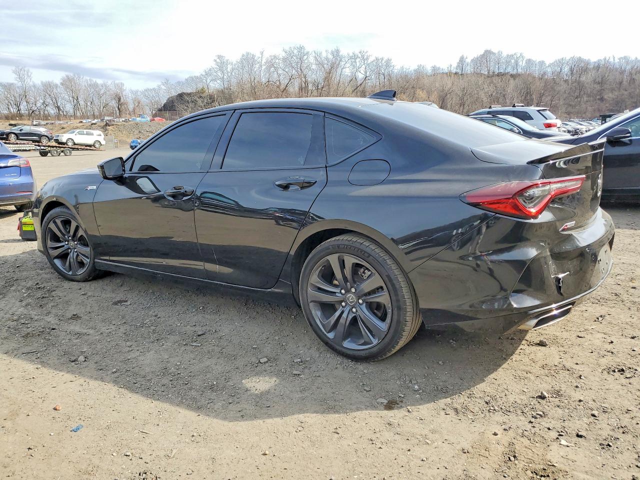 2023 Acura Tlx A-spec Черный vin: 19UUB6F55PA002334