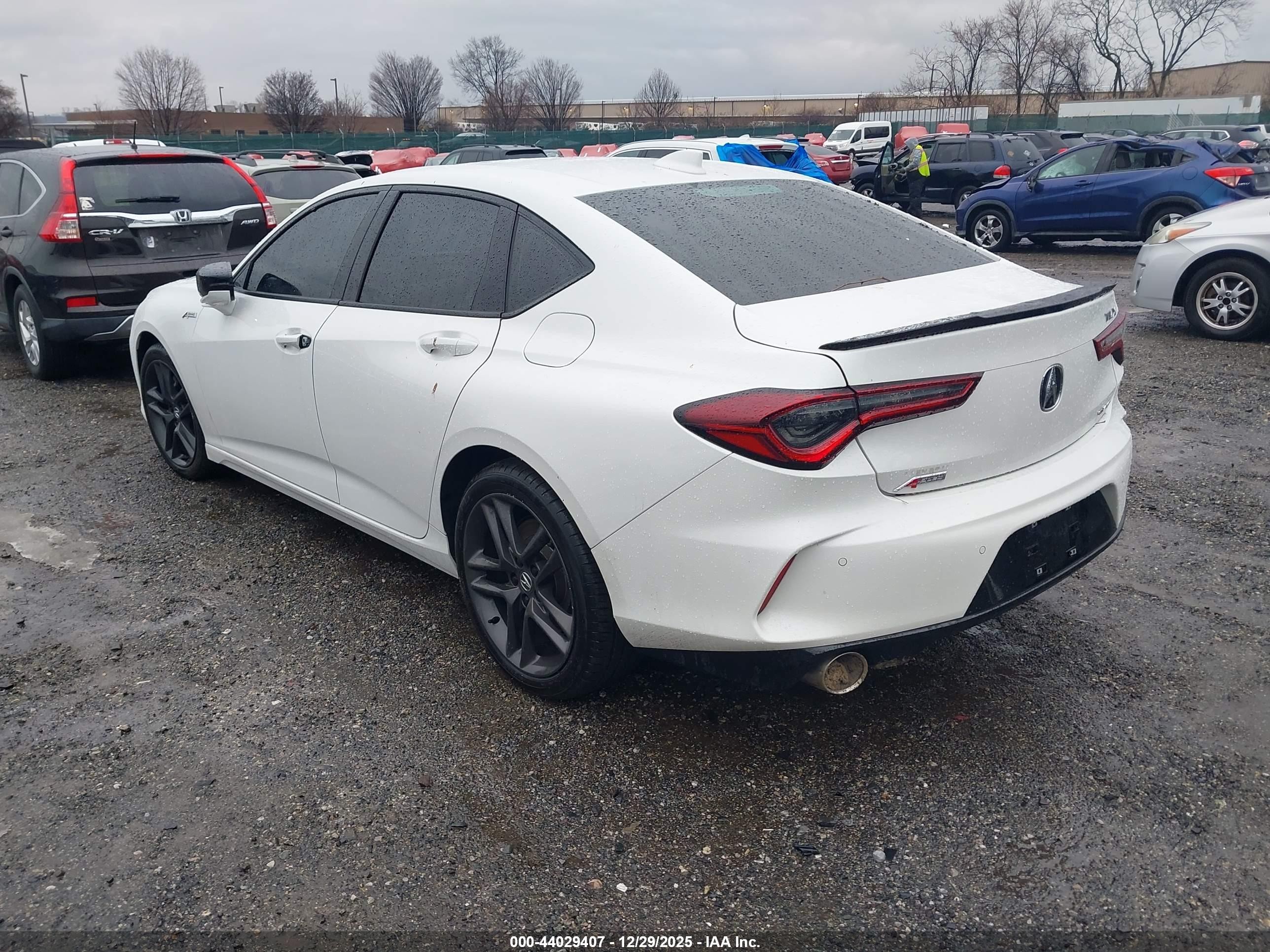 2025 Acura Tlx A-spec Package Белый vin: 19UUB6F5XSA000457