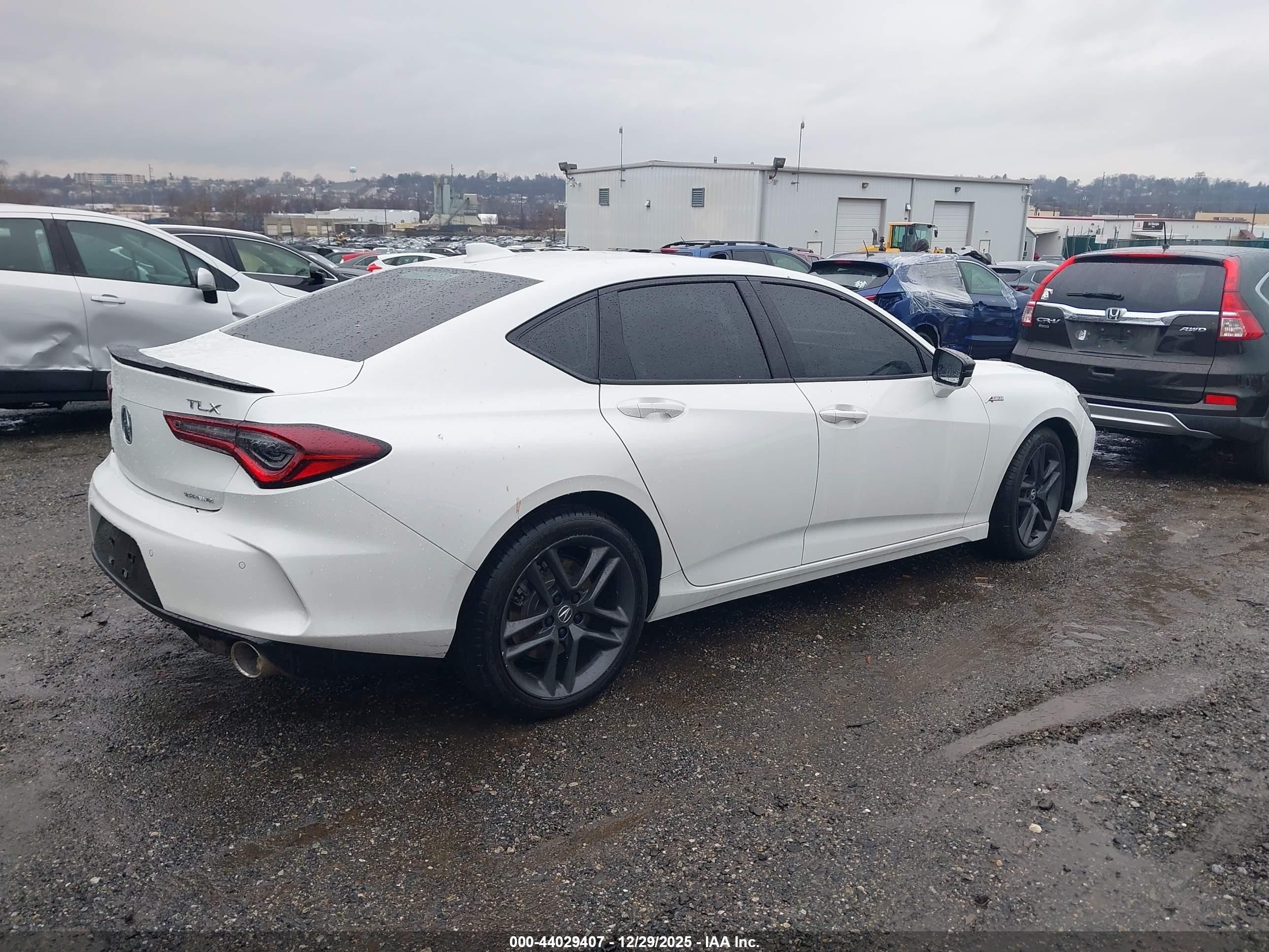 2025 Acura Tlx A-spec Package Белый vin: 19UUB6F5XSA000457