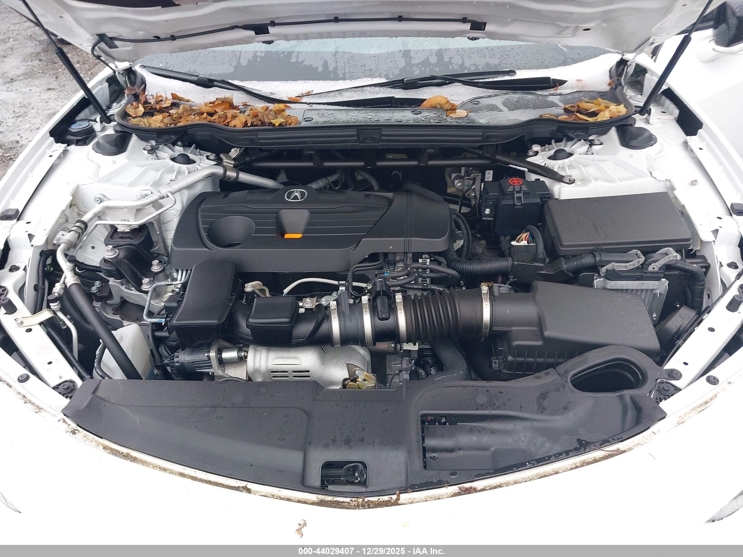 2025 Acura Tlx A-spec Package Белый vin: 19UUB6F5XSA000457