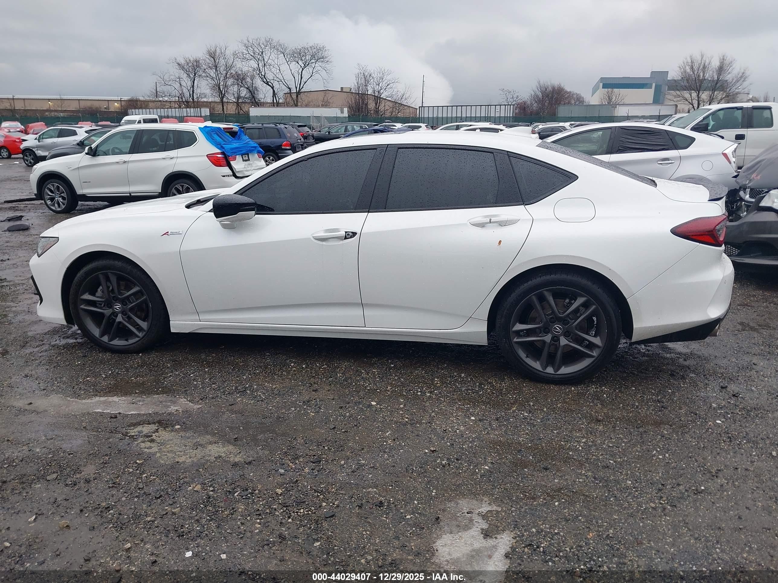 2025 Acura Tlx A-spec Package Белый vin: 19UUB6F5XSA000457