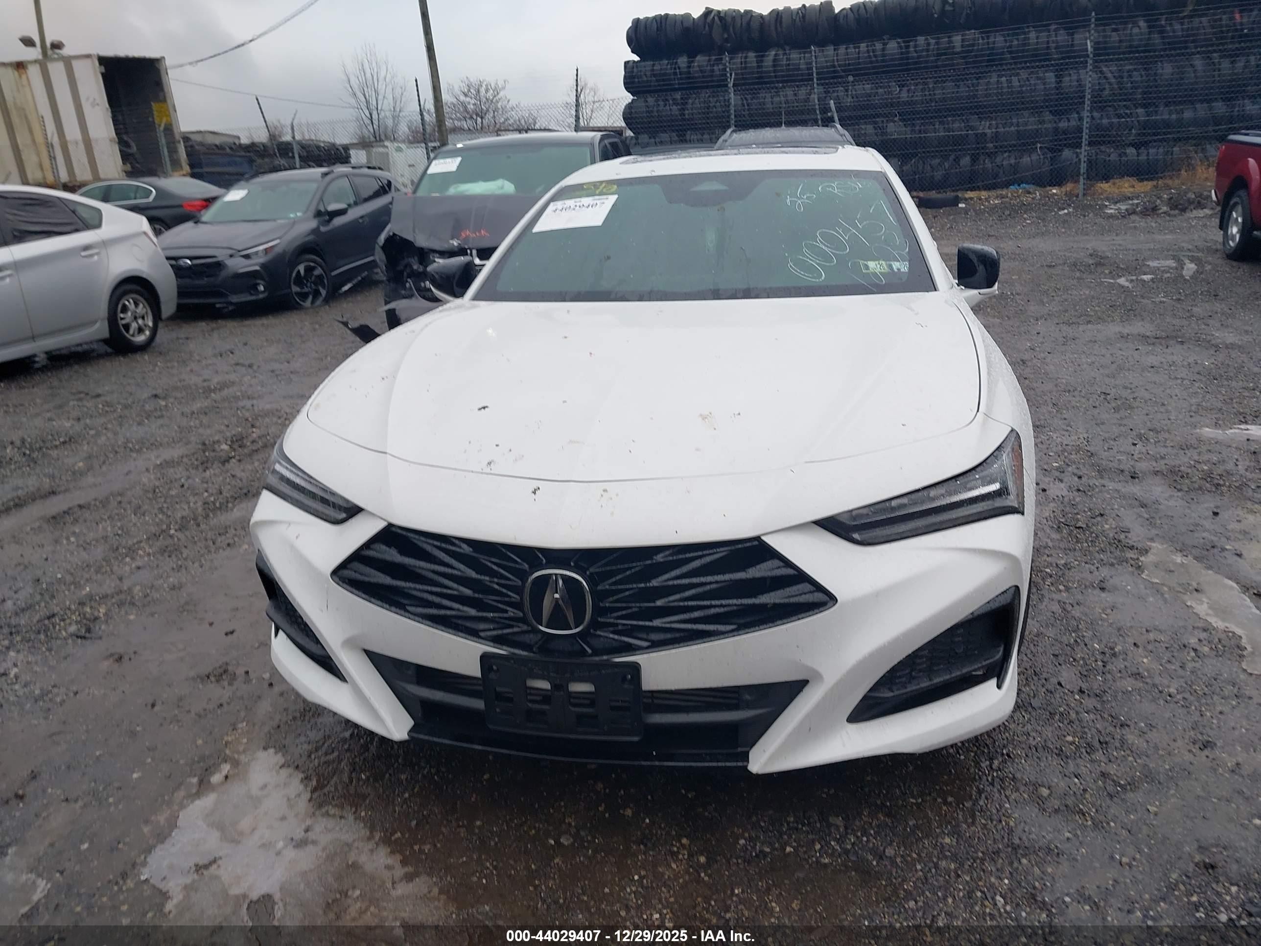 2025 Acura Tlx A-spec Package Белый vin: 19UUB6F5XSA000457