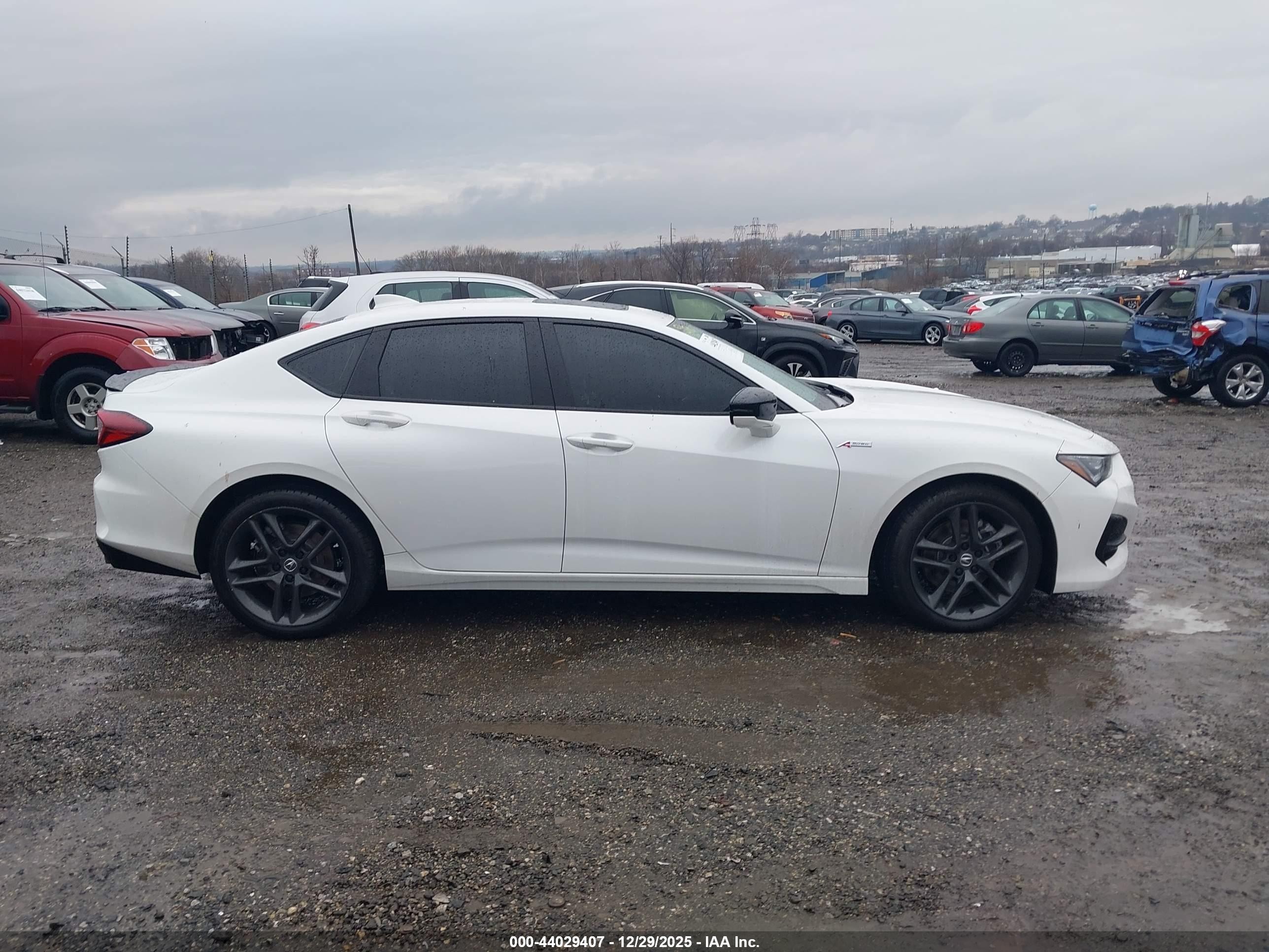 2025 Acura Tlx A-spec Package Белый vin: 19UUB6F5XSA000457