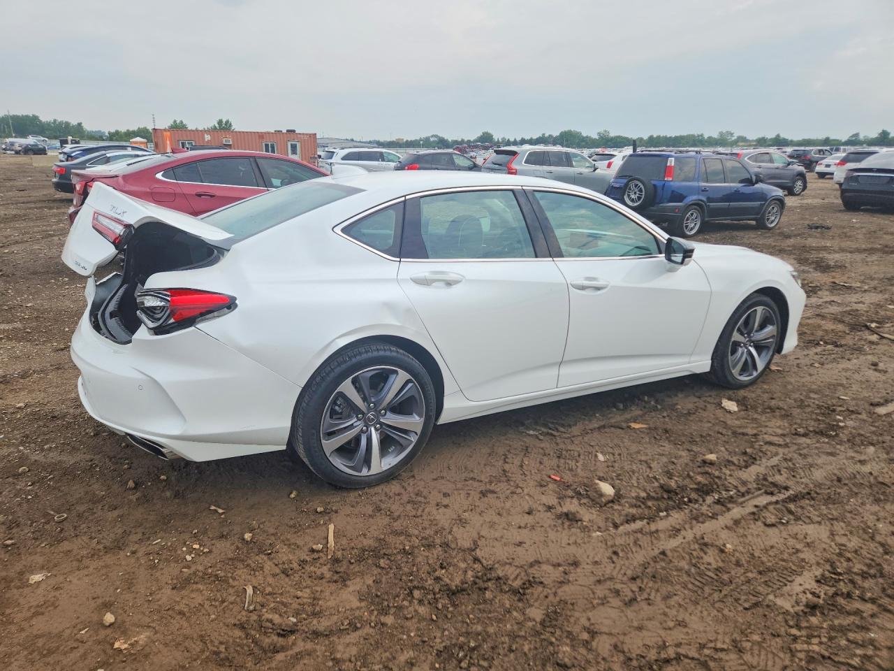 2023 Acura Tlx Advance Белый vin: 19UUB6F67PA003364