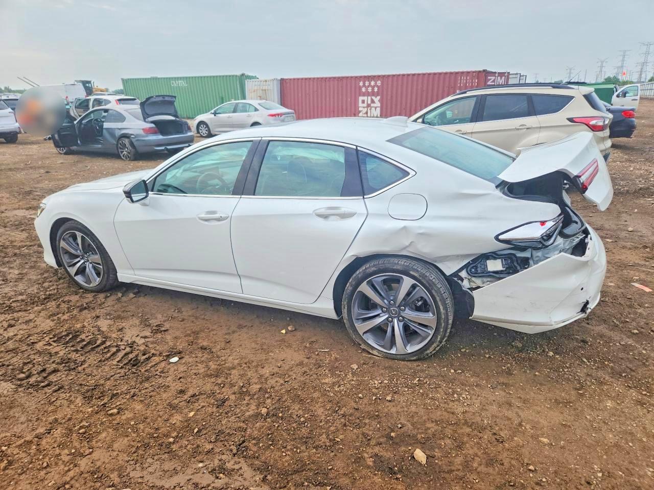 2023 Acura Tlx Advance Белый vin: 19UUB6F67PA003364