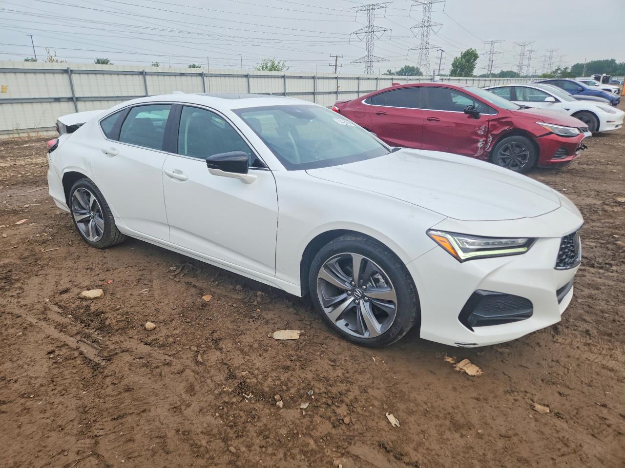 2023 Acura Tlx Advance Белый vin: 19UUB6F67PA003364