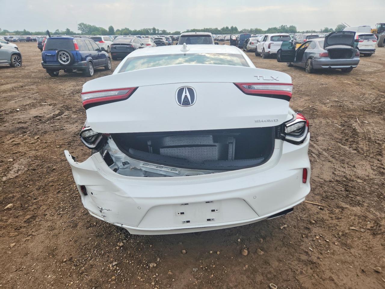 2023 Acura Tlx Advance Белый vin: 19UUB6F67PA003364