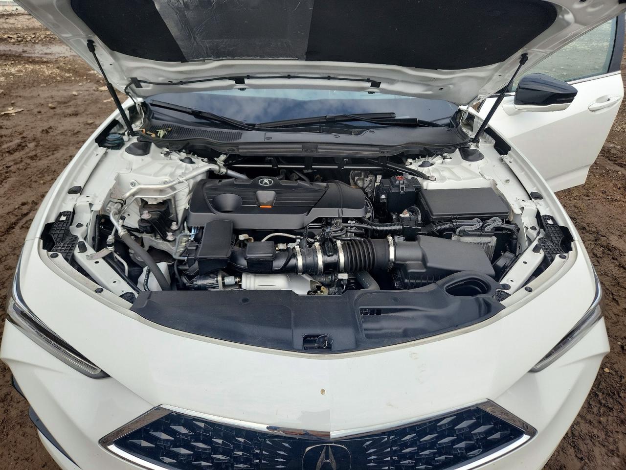 2023 Acura Tlx Advance Белый vin: 19UUB6F67PA003364