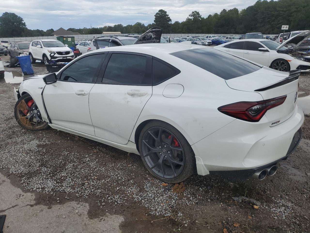 2023 Acura Tlx Type S White vin: 19UUB7F94PA000857