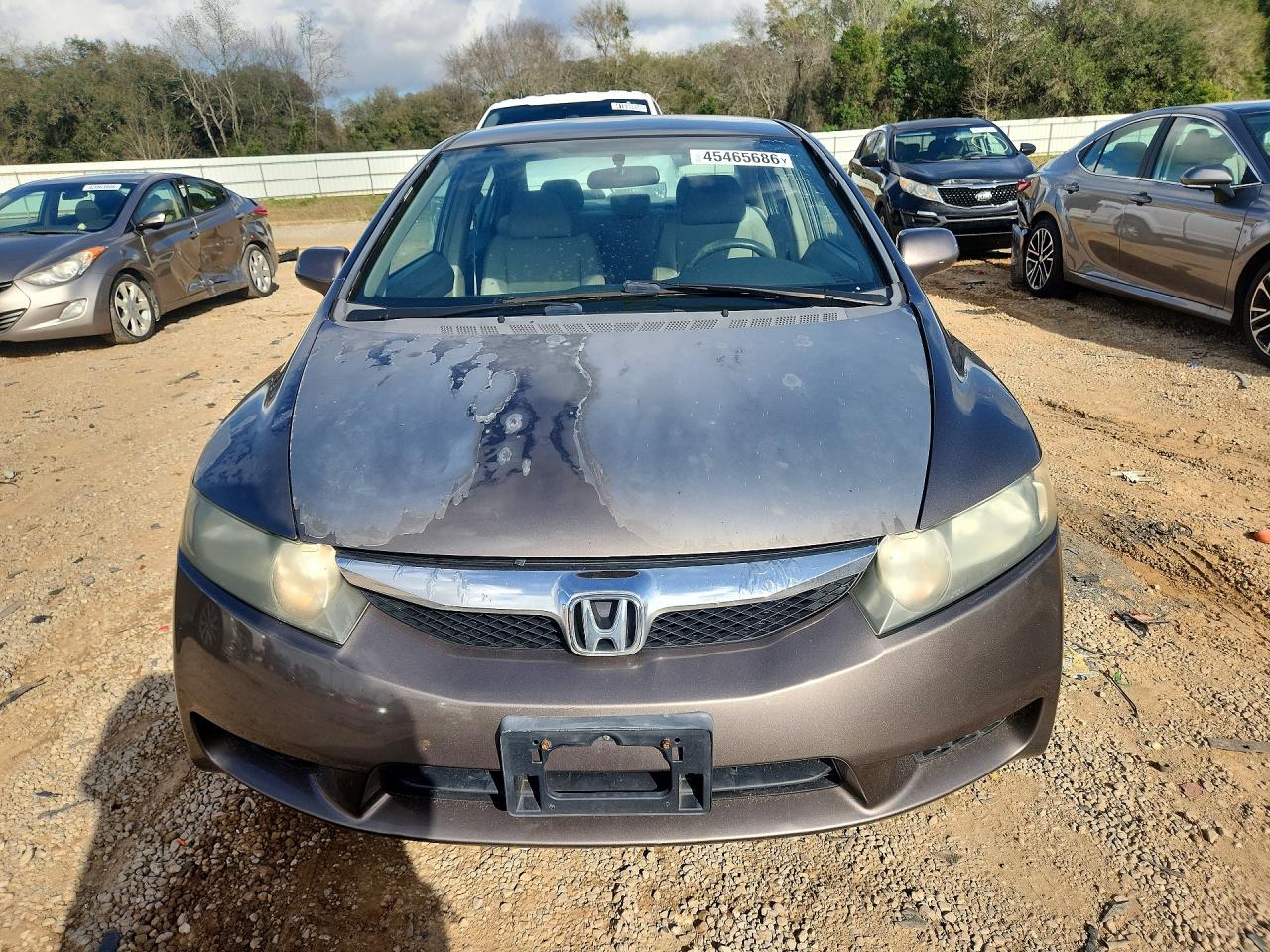 2009 Honda Civic Lx Gray vin: 19XFA16509E034850