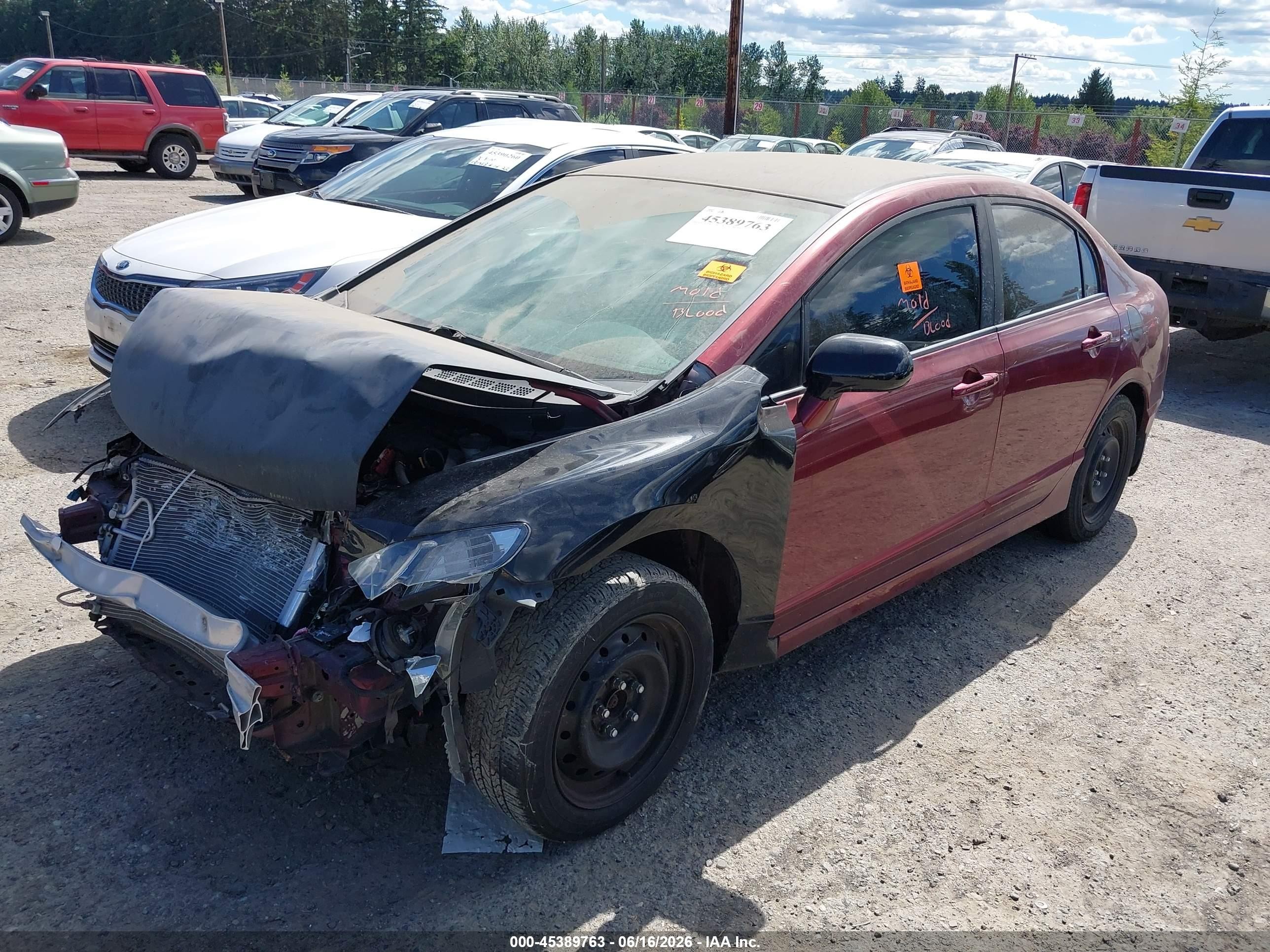 2009 Honda Civic Lx Maroon vin: 19XFA16559E045567