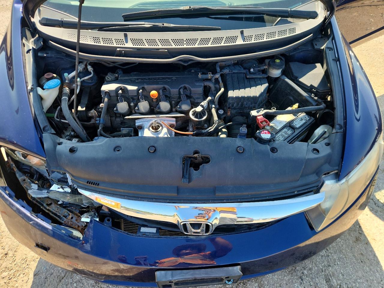 2009 Honda Civic Lx Синий vin: 19XFA165X9E025248