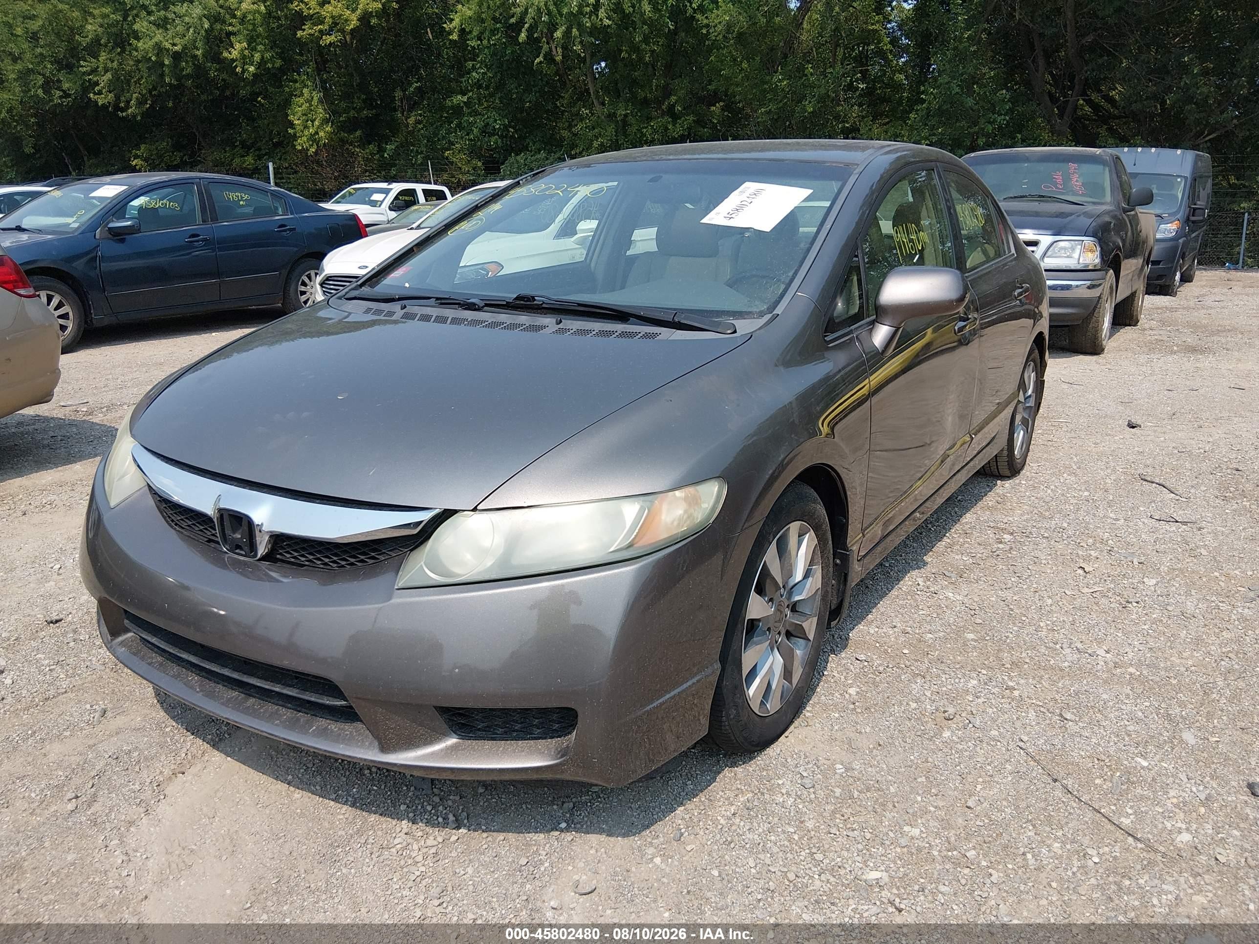 2009 Honda Civic Ex-l Gray vin: 19XFA16959E010269