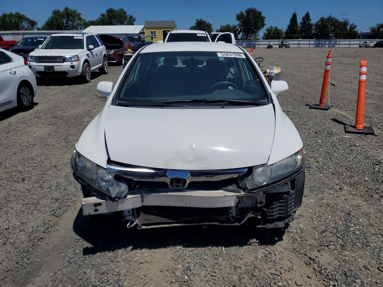 2010 Honda Civic Lx White vin: 19XFA1F50AE051071