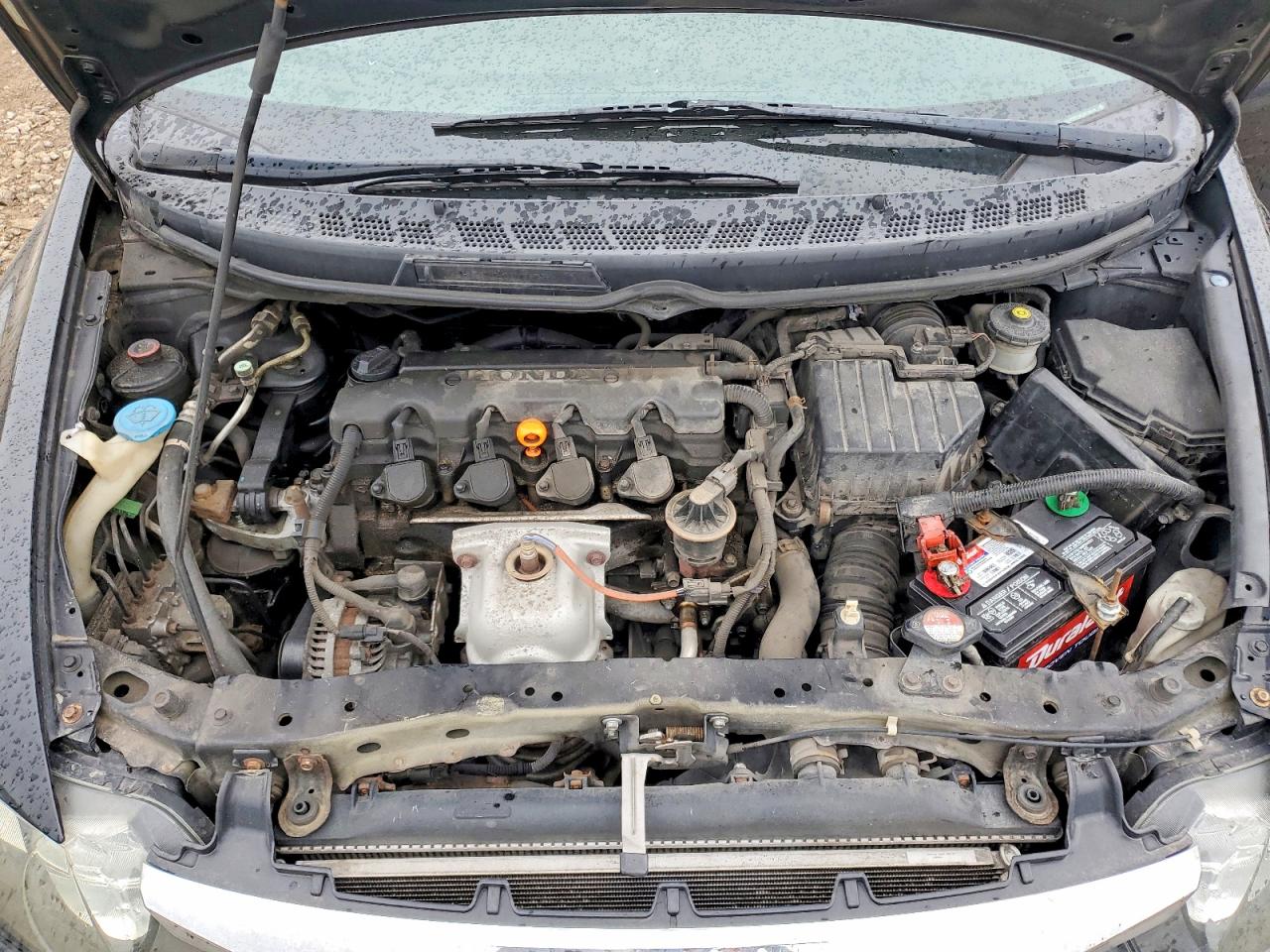 2010 Honda Civic Lx Черный vin: 19XFA1F53AE002818