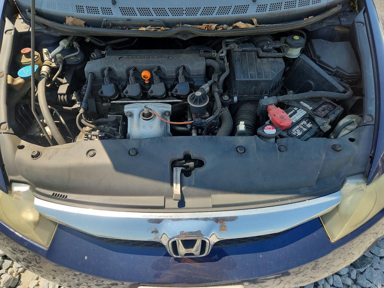 2010 Honda Civic Lx Blue vin: 19XFA1F55AE026568