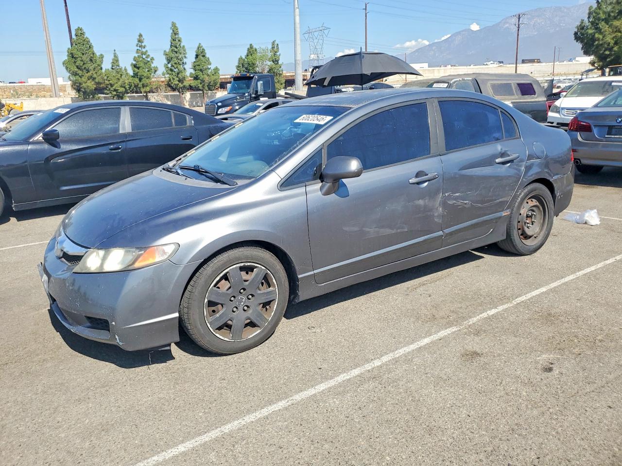 19XFA1F56AE049583