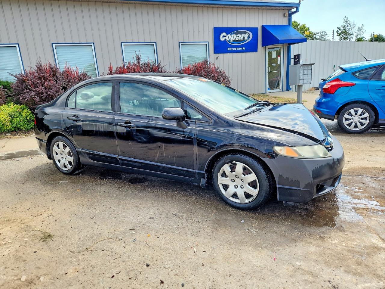 2010 Honda Civic Lx Black vin: 19XFA1F5XAE015758