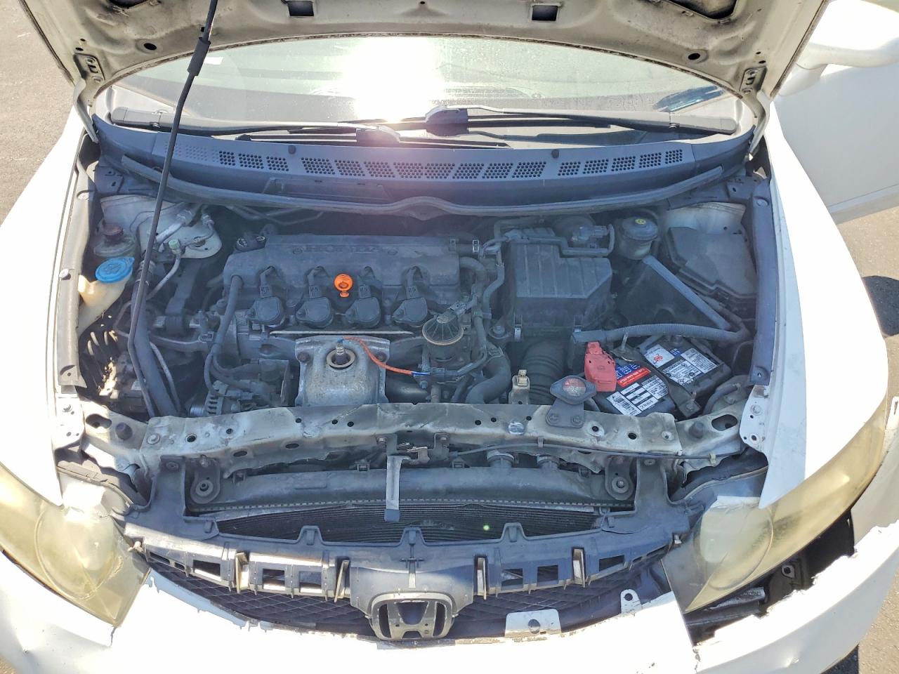 2010 Honda Civic Lx Белый vin: 19XFA1F5XAE076219