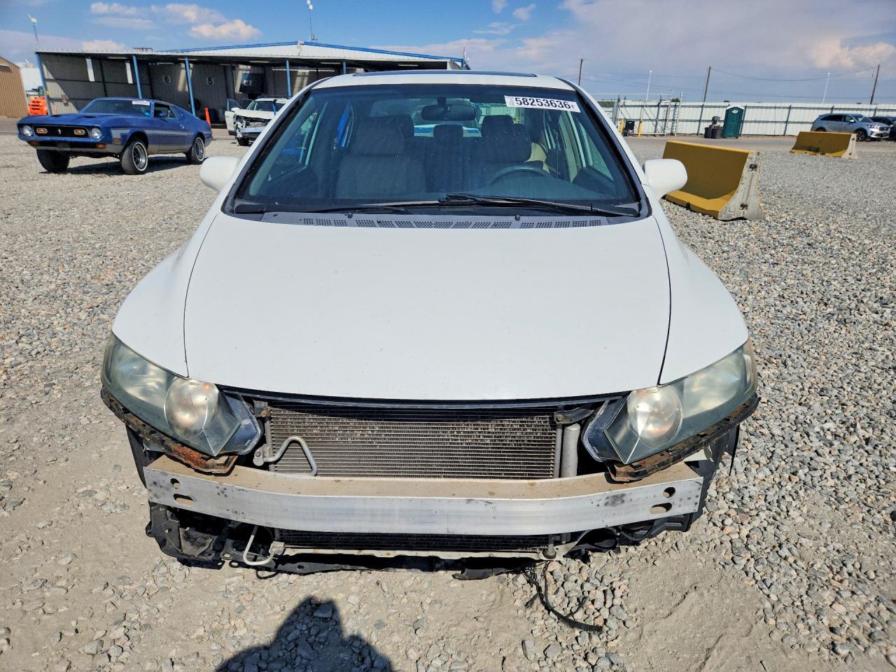 2010 Honda Civic Ex White vin: 19XFA1F84AE050970
