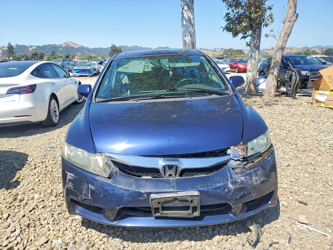 2010 Honda Civic Exl Blue vin: 19XFA1F9XAE055499