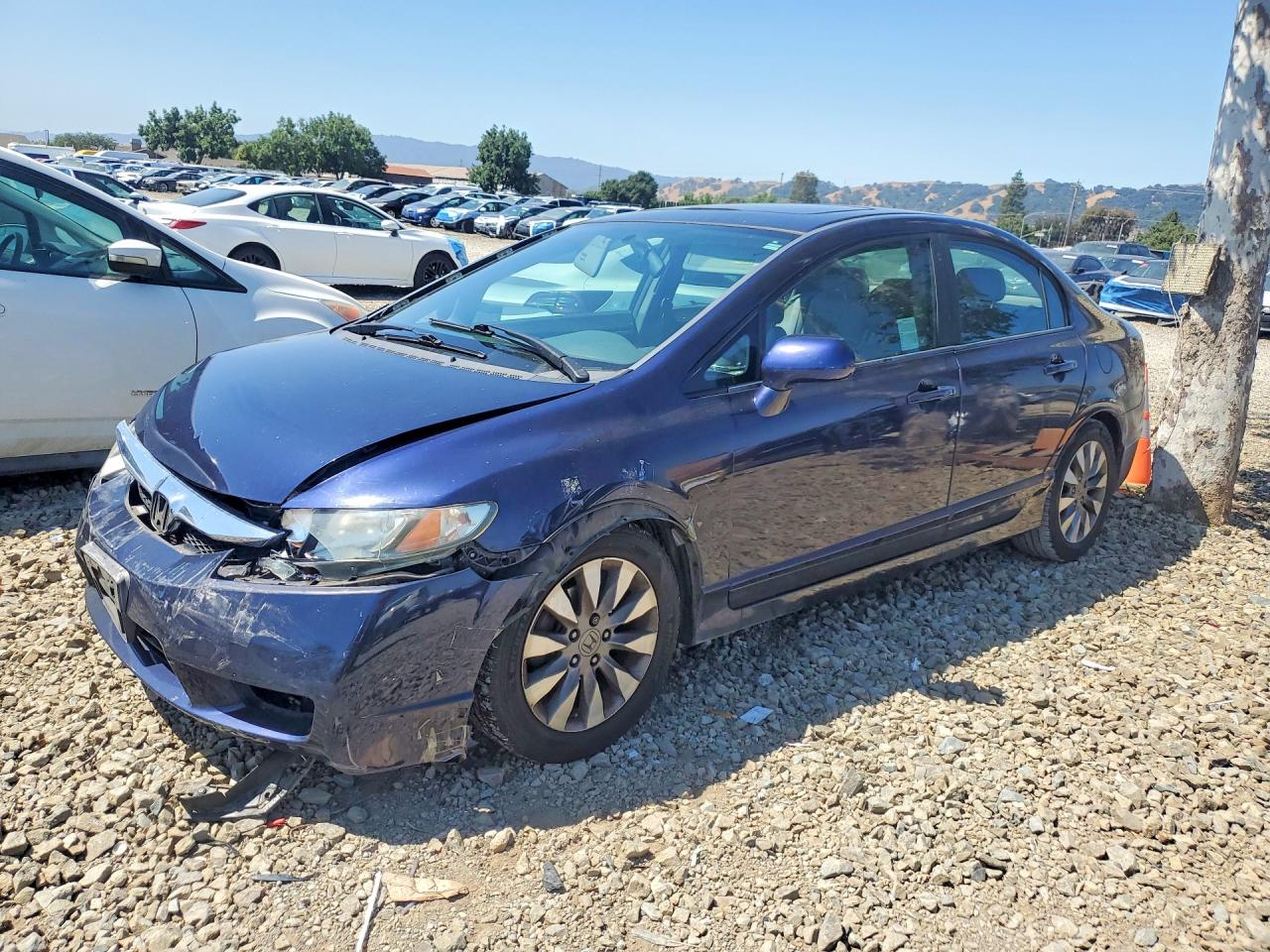 2010 Honda Civic Exl Blue vin: 19XFA1F9XAE055499