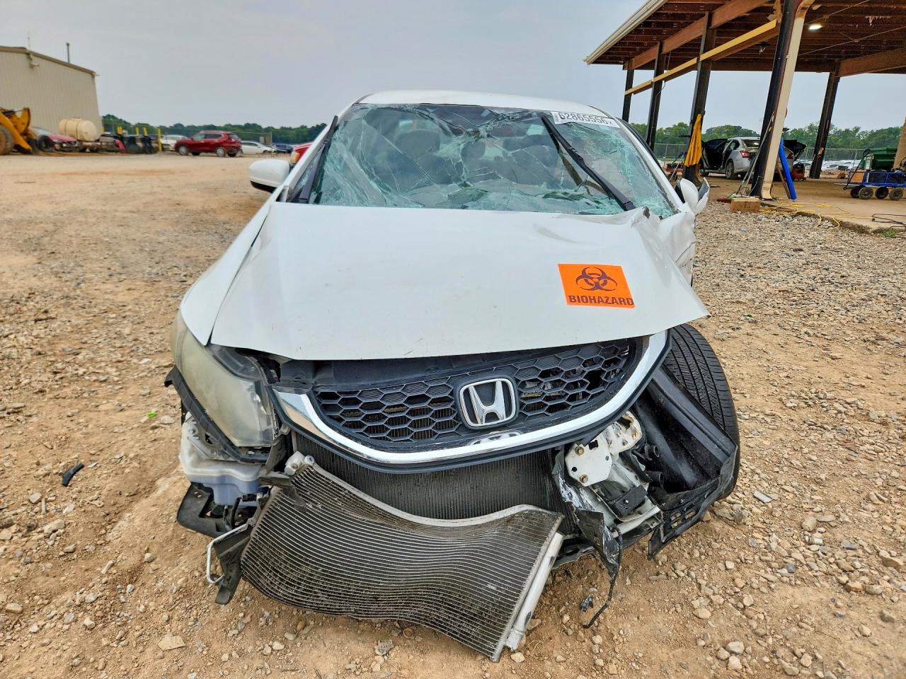 2015 Honda Civic Lx Белый vin: 19XFB2F50FE119010