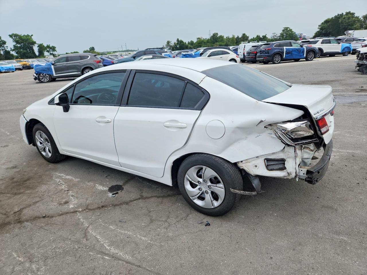 2013 Honda Civic Lx Белый vin: 19XFB2F51DE053161