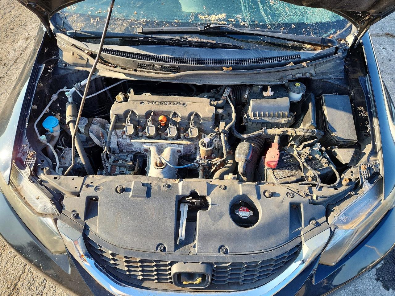2014 Honda Civic Lx Black vin: 19XFB2F51EE226680