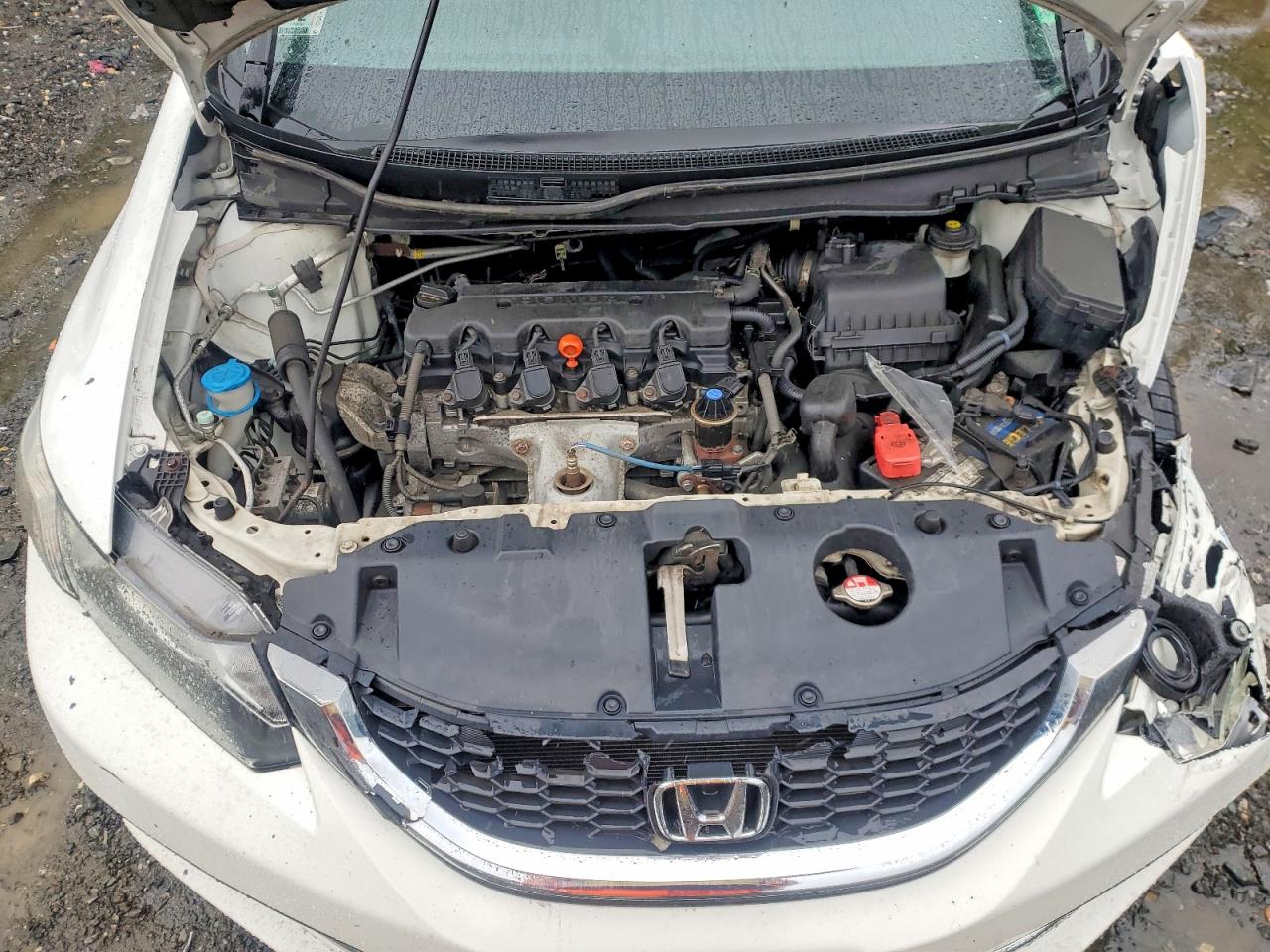 2015 Honda Civic Lx White vin: 19XFB2F55FE298144