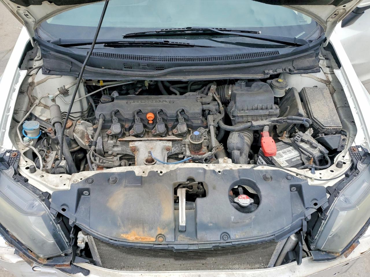 2015 Honda Civic Lx Белый vin: 19XFB2F57FE111356