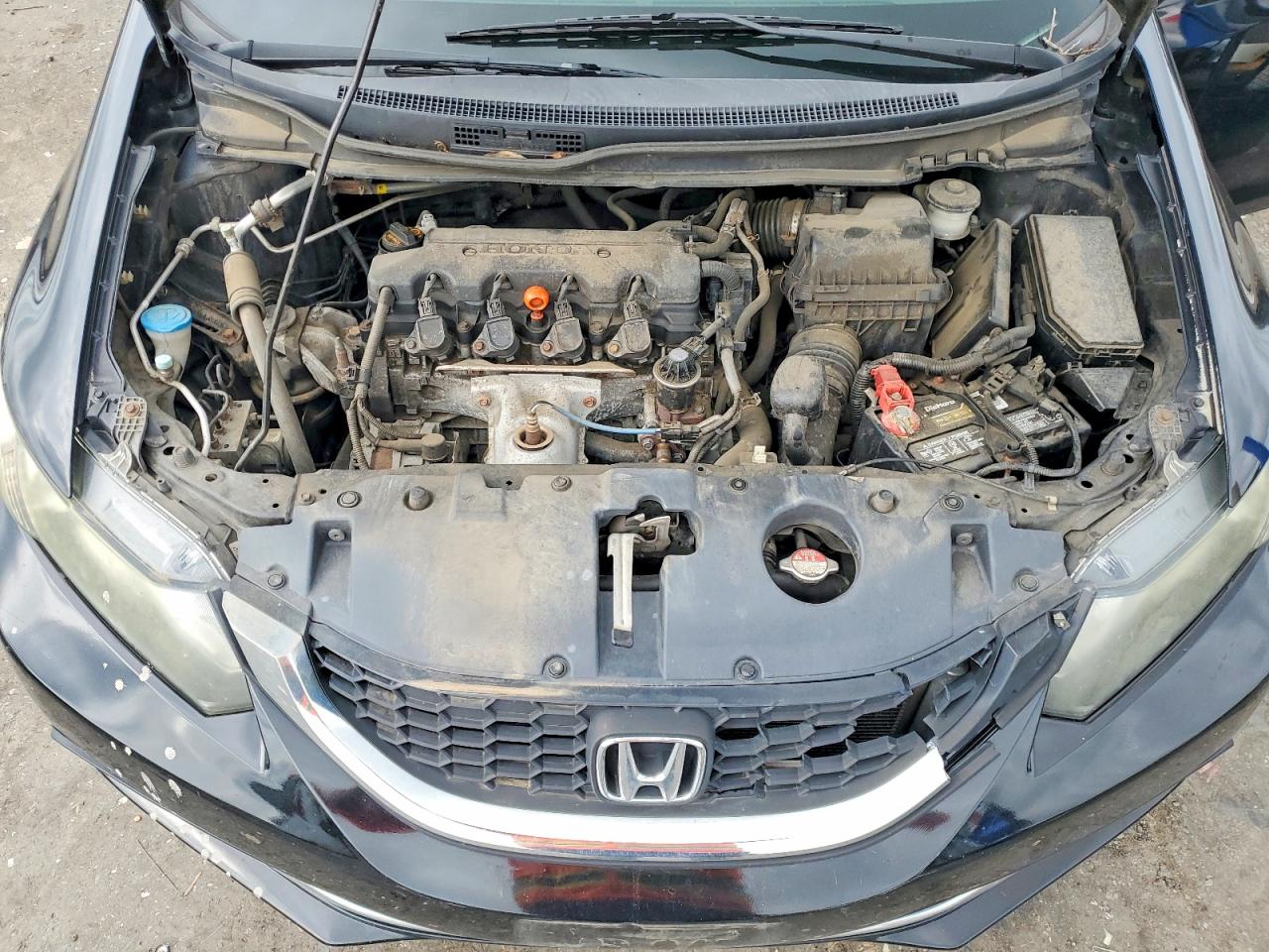 2013 Honda Civic Lx Black vin: 19XFB2F59DE026516