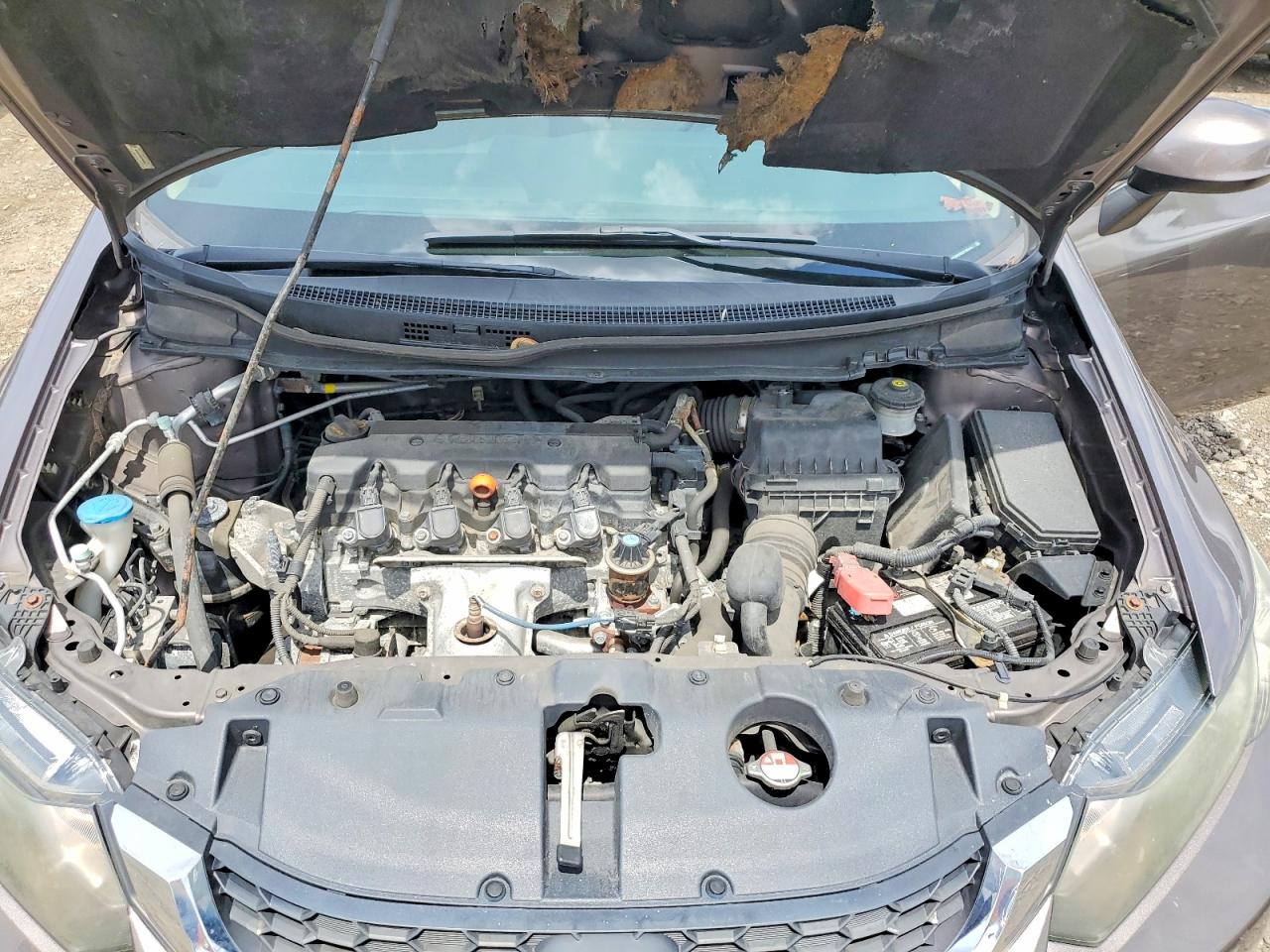 2013 Honda Civic Lx Gray vin: 19XFB2F59DE286849