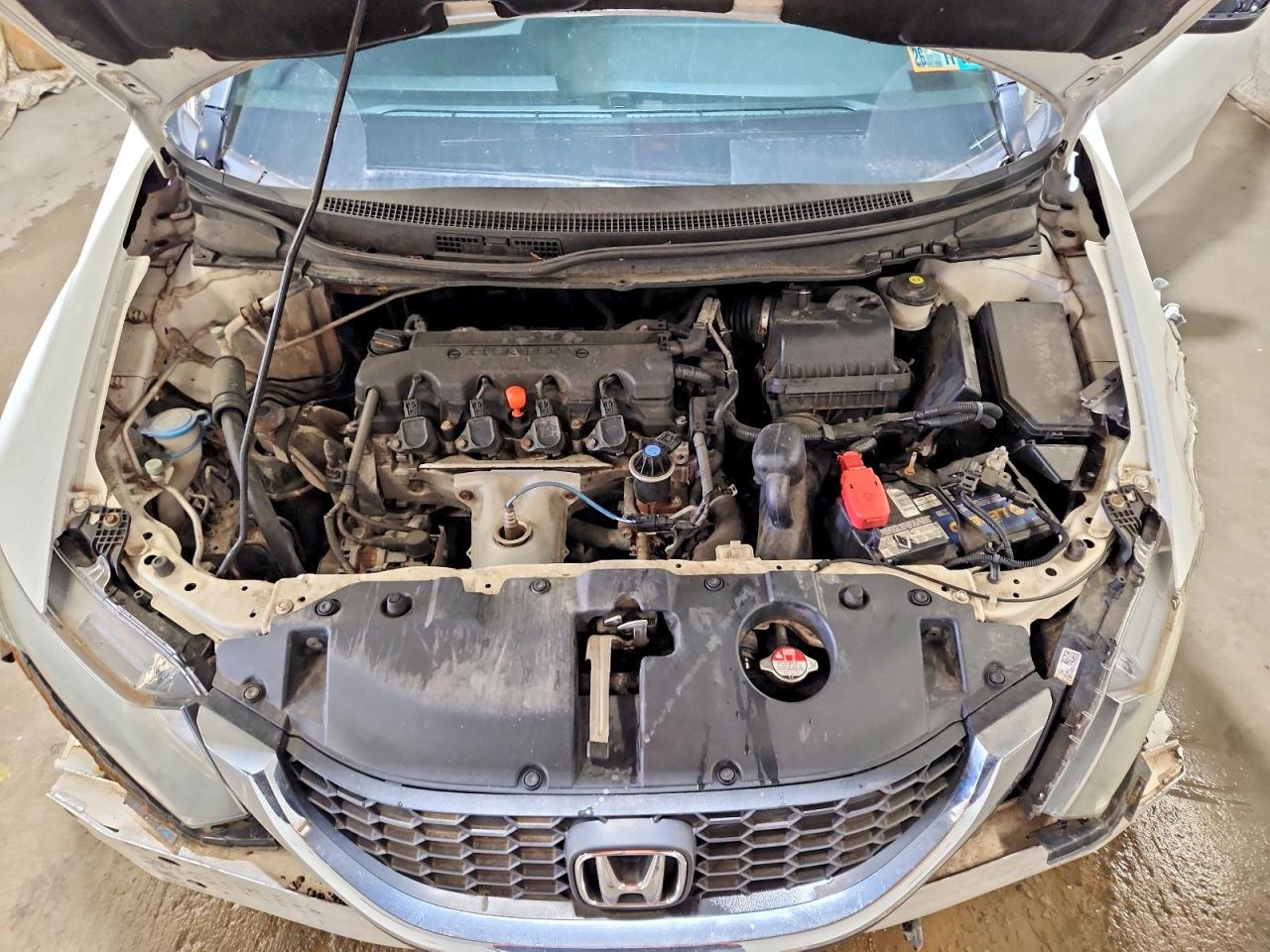 2015 Honda Civic Lx Белый vin: 19XFB2F5XFE101615