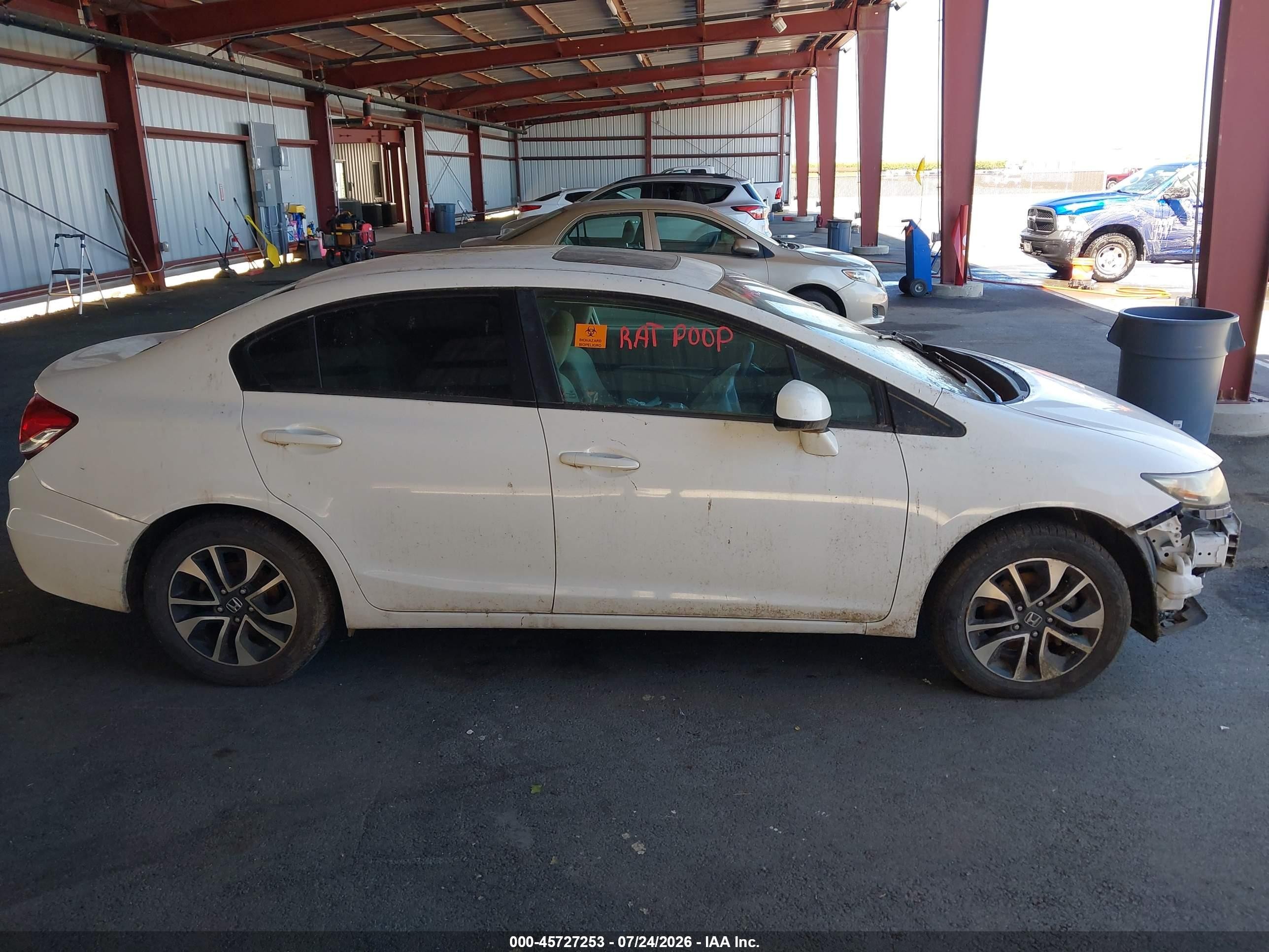 2013 Honda Civic Ex Белый vin: 19XFB2F85DE249680