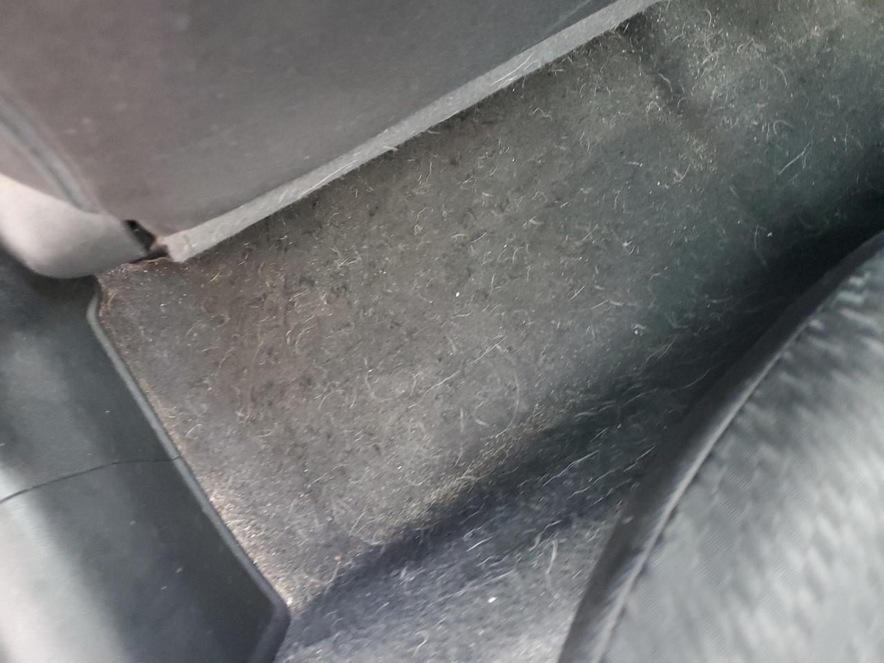 2015 Honda Civic Ex Gray vin: 19XFB2F86FE214214 Damage: Left Rear Carpet, Stained, Permanent