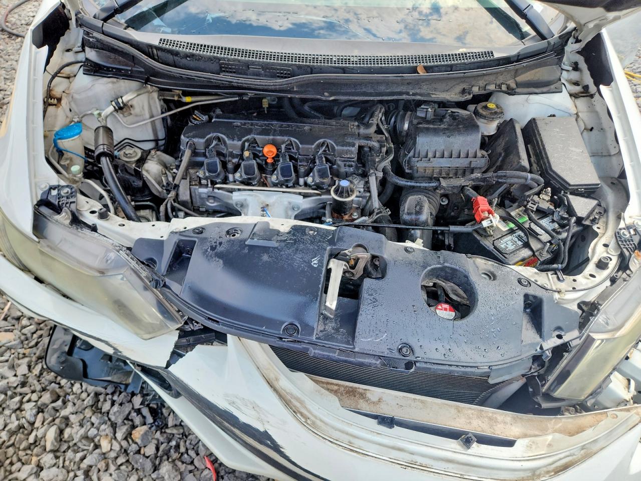 2015 Honda Civic Exl Белый vin: 19XFB2F95FE049670