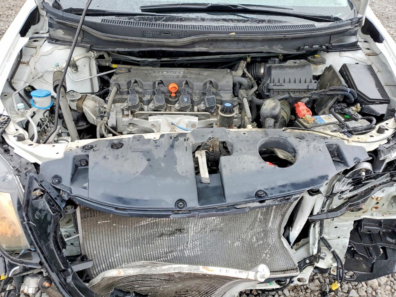 2015 Honda Civic Exl Белый vin: 19XFB2F98FE038629