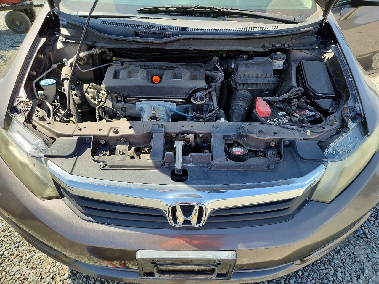 2012 Honda Civic Exl Коричневый vin: 19XFB2F99CE338904