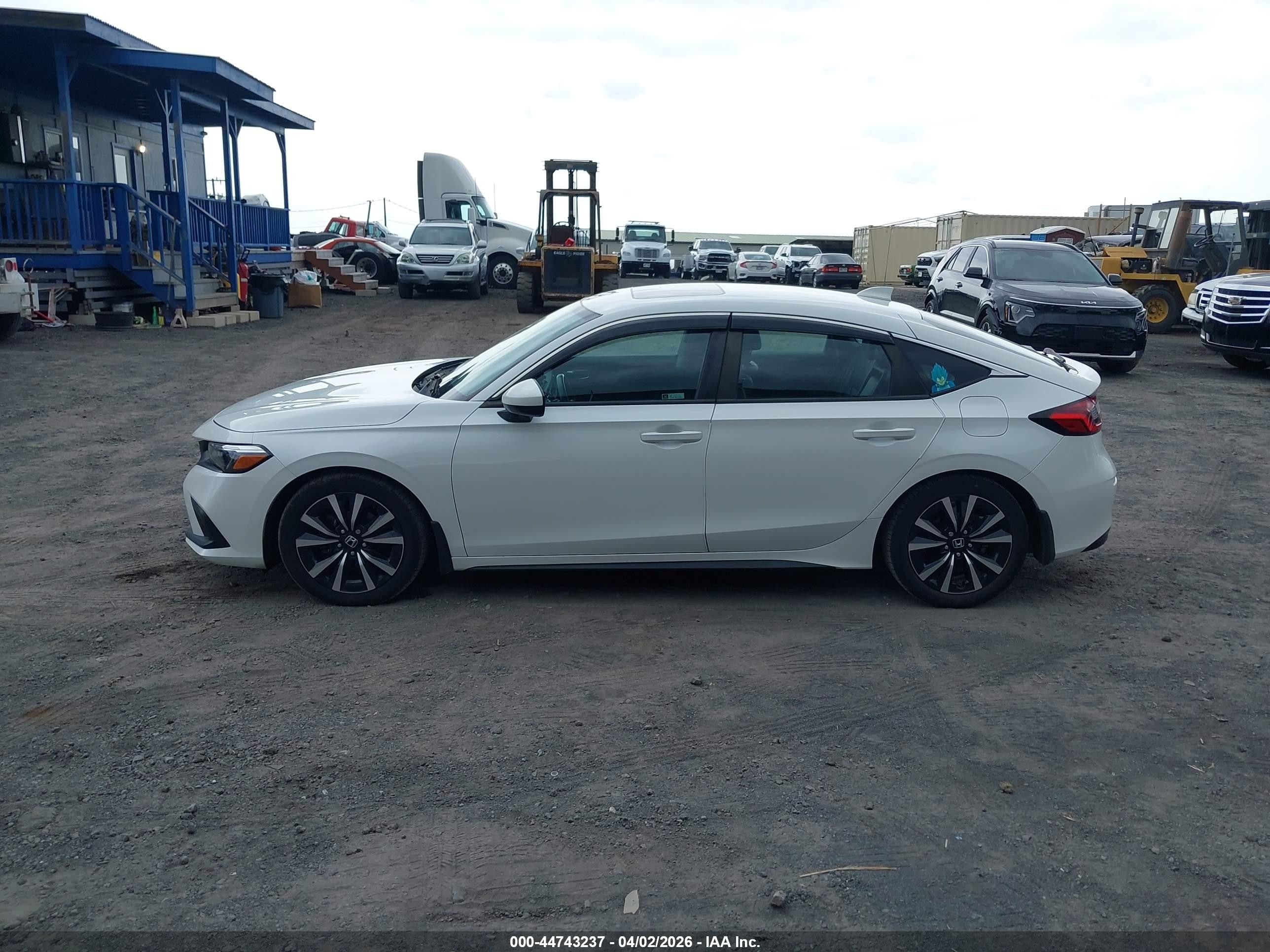 2024 Honda Civic Ex-l White vin: 19XFL1H74RE009104