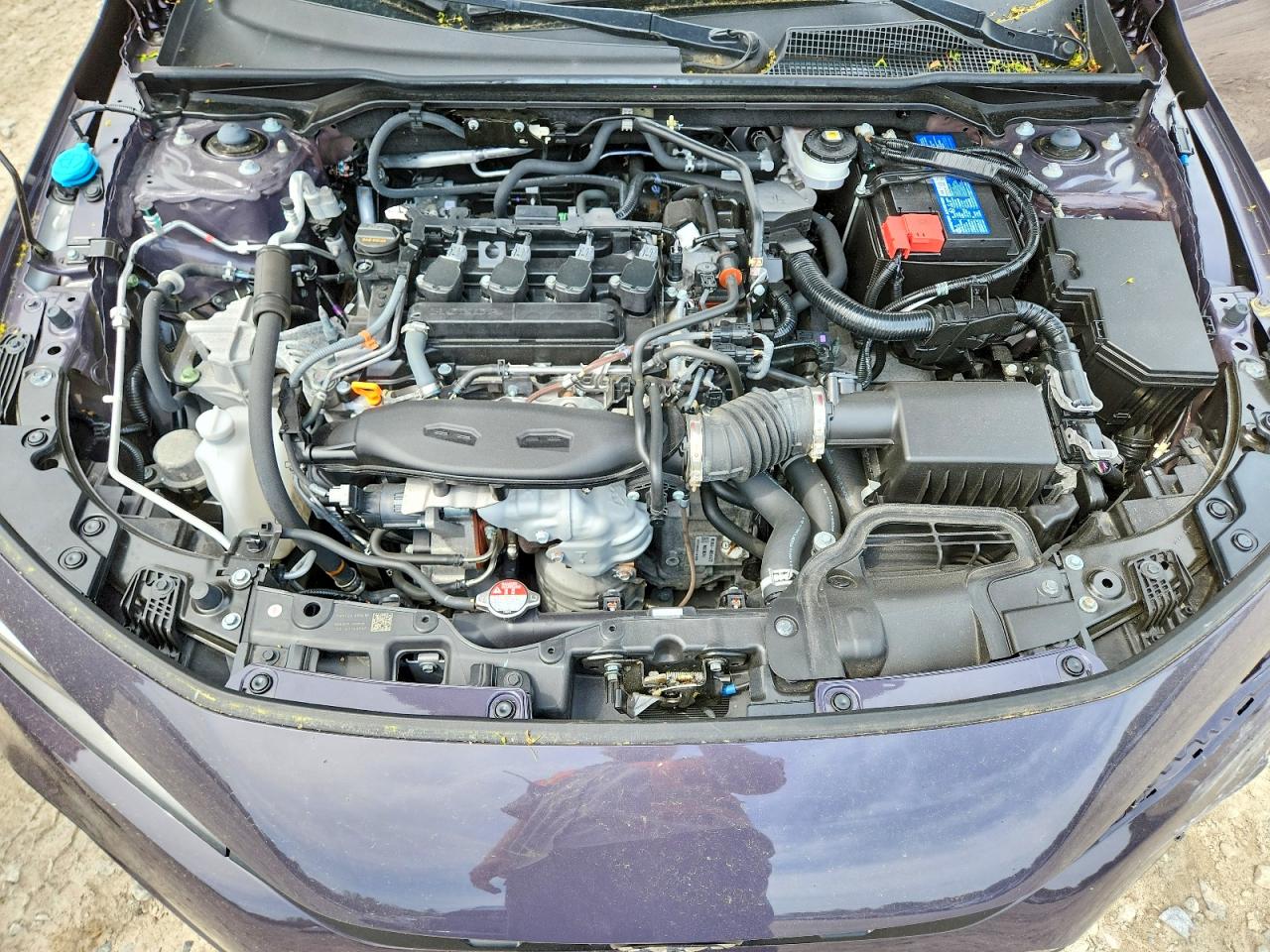 2024 Honda Civic Exl Фиолетовый vin: 19XFL1H7XRE019846